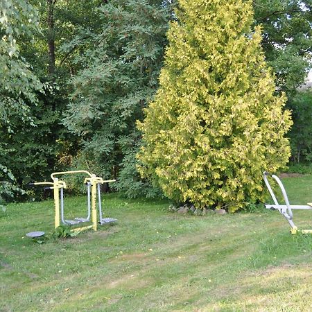 Mlyn Wodny Eko Hillar Vila Rybno  Exterior foto