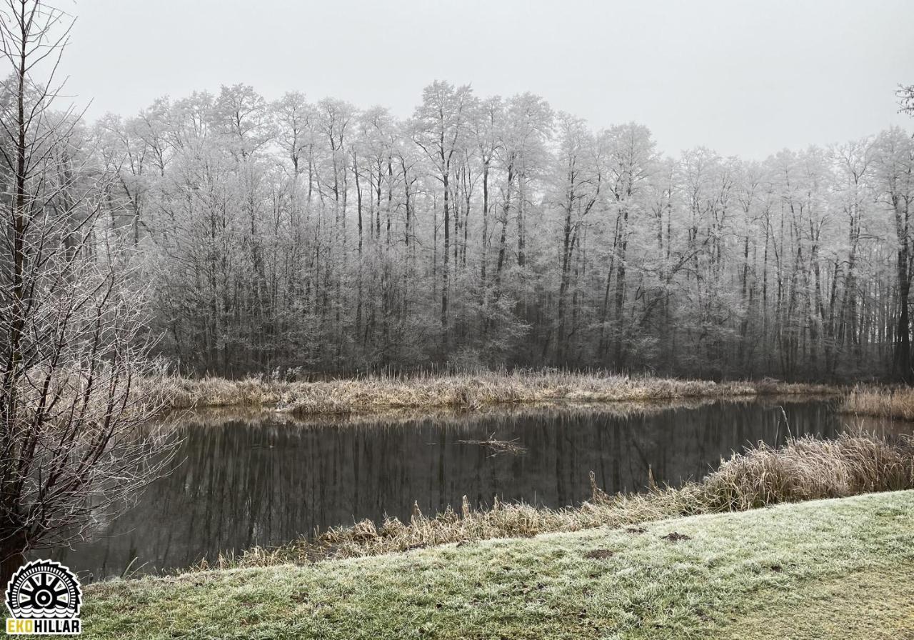 Mlyn Wodny Eko Hillar Vila Rybno  Exterior foto