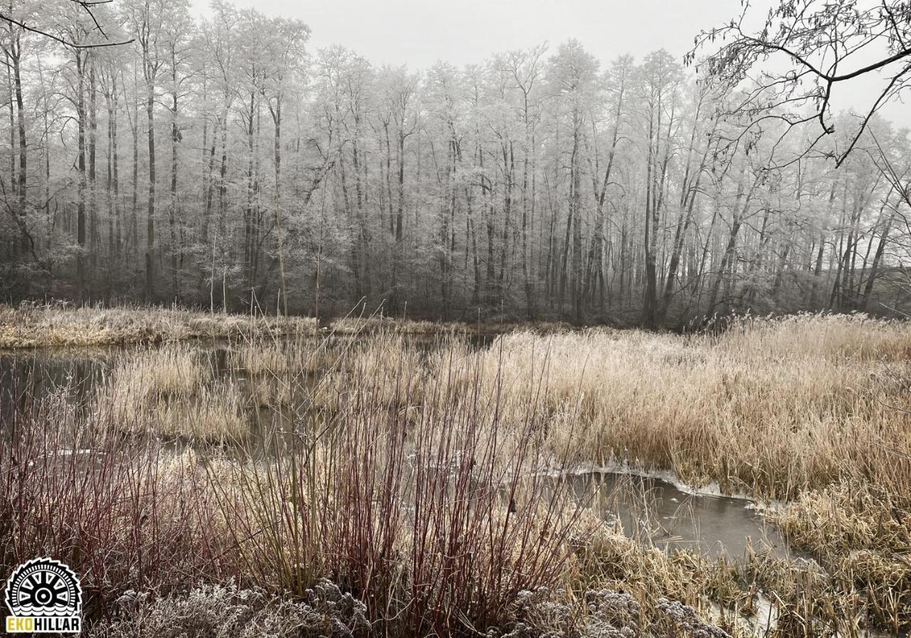 Mlyn Wodny Eko Hillar Vila Rybno  Exterior foto