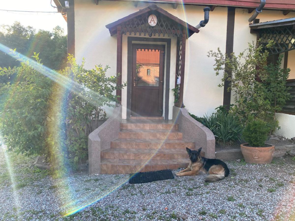 Mlyn Wodny Eko Hillar Vila Rybno  Exterior foto