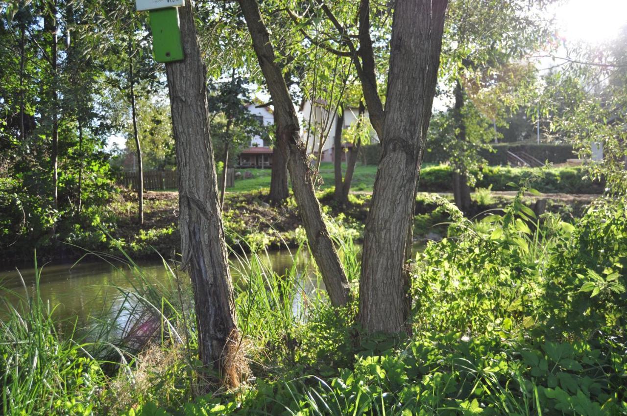 Mlyn Wodny Eko Hillar Vila Rybno  Exterior foto