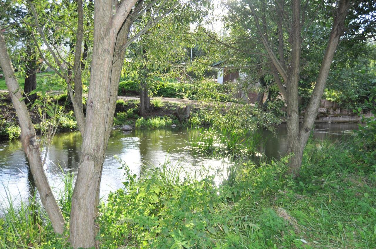Mlyn Wodny Eko Hillar Vila Rybno  Exterior foto