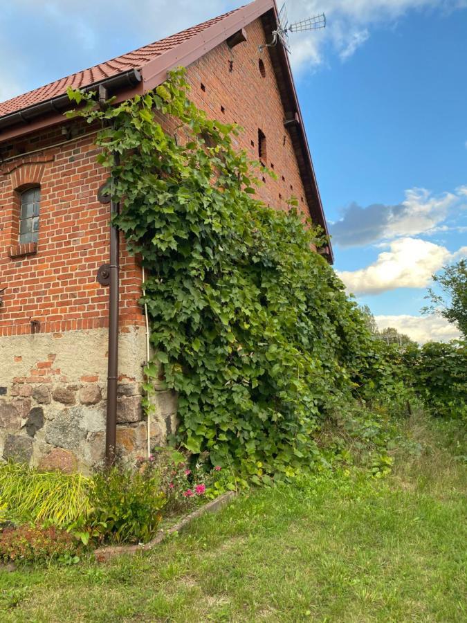 Mlyn Wodny Eko Hillar Vila Rybno  Exterior foto